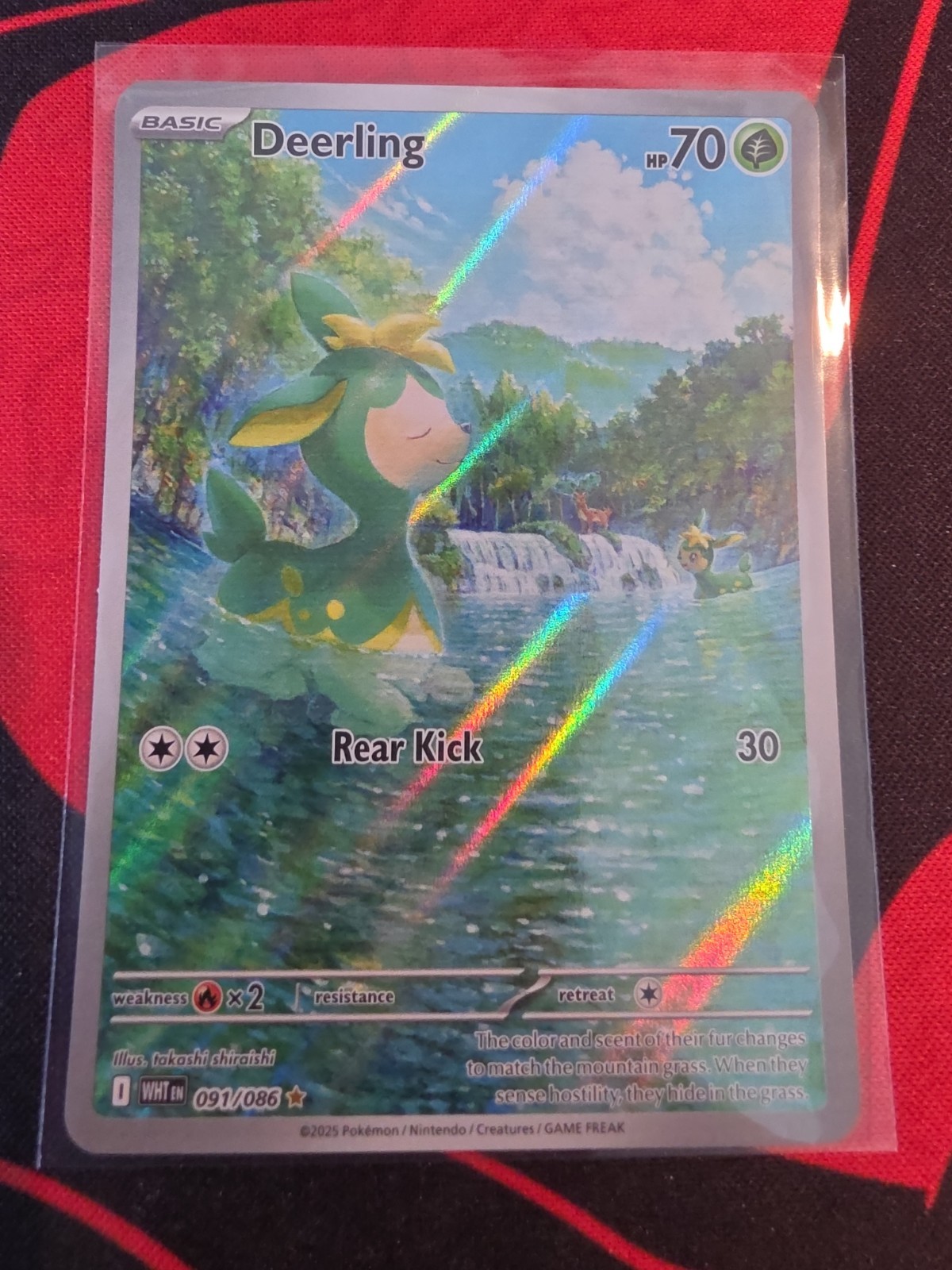 Deerling 91/86 Illustration Rare SV: White Flare Pokemon TCG NM