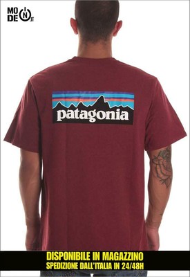 red patagonia t shirt