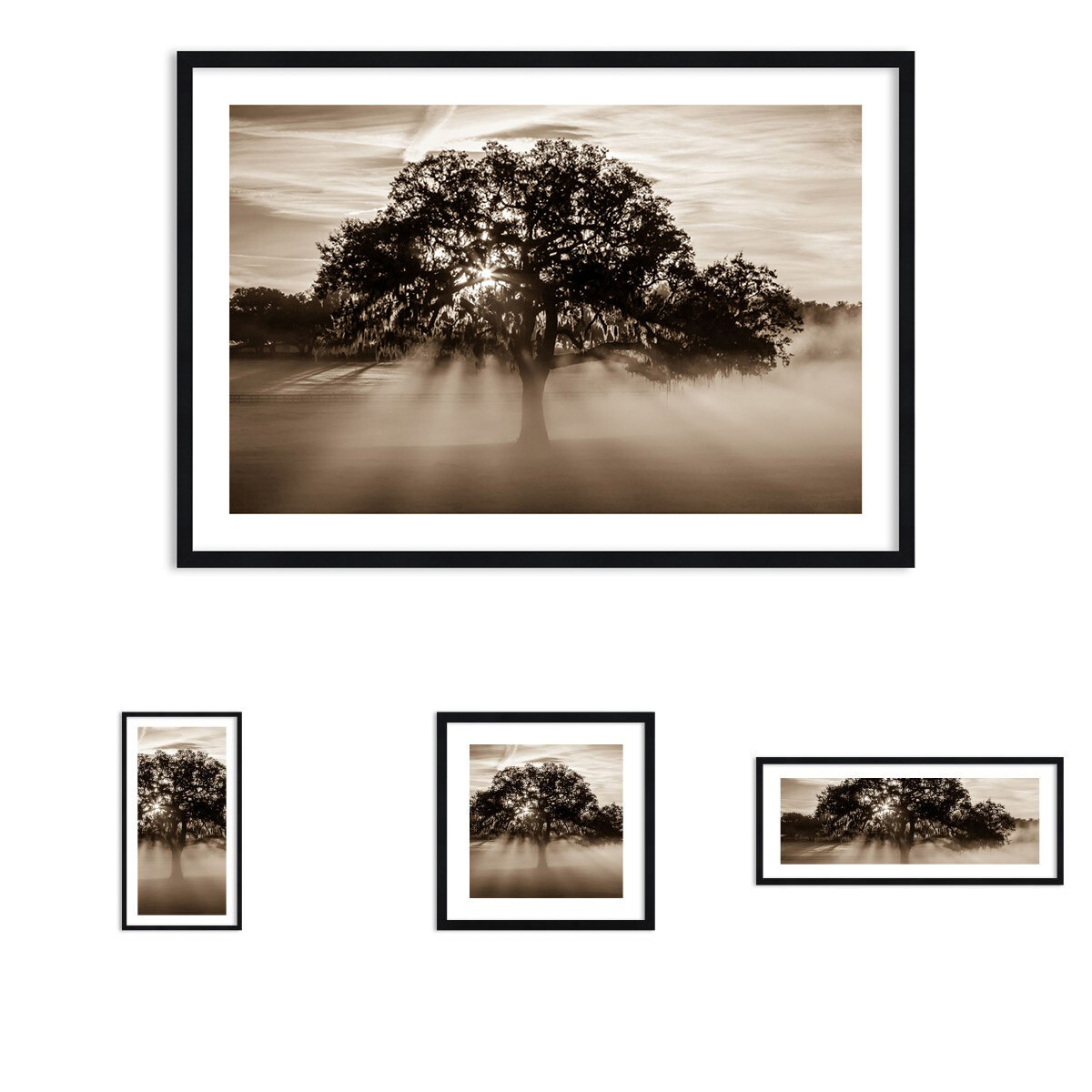 Immagine nel quadro-ALBERO NATURA campo 3811 de Immagine nel quadro-ALBERO NATURA campo 3811 de
