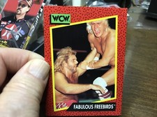 WCW WORLD CHAMPIONSHIP WRESTLING  1991 TRADING CARD # 117 MICHAEL “P.S.” HAYES