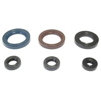 Serie Parolio Motor KTM 125Cc Gs-Mx 84-86 FüR KTM 125 GS 1984-1986 2T