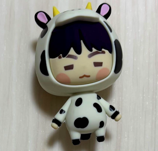BTS Island in the SEOM Magunet Figure Toy FESTA 2025 Lucky Draw