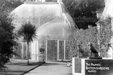 Ssc-93 The Palmry, Bicton Gardens, Devon. Photo