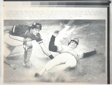 Terry Puhl safe at Home Jody Davis  Vintage AP Laser Wire Photo 1982 Astros