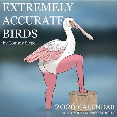 2026 Wall Calendar Birds Gift Extremely Accurate Birds Calendar for Holidays