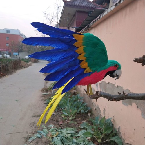 Simulated Feathered Parrot Decorative Animal Model Fake Bird Craft - Picture 4 of 21