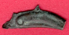 Olbia Cast Dolphin  ca 5 th BC Greek Ukraine Russia 4951