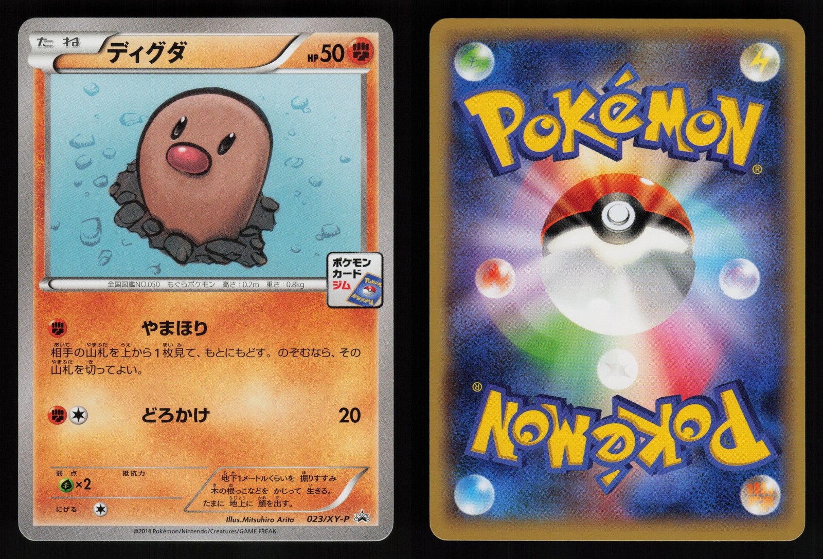 DIGLETT 023/XY-P GYM PROMO COMMON POKEMON JAPANESE 2013 NM