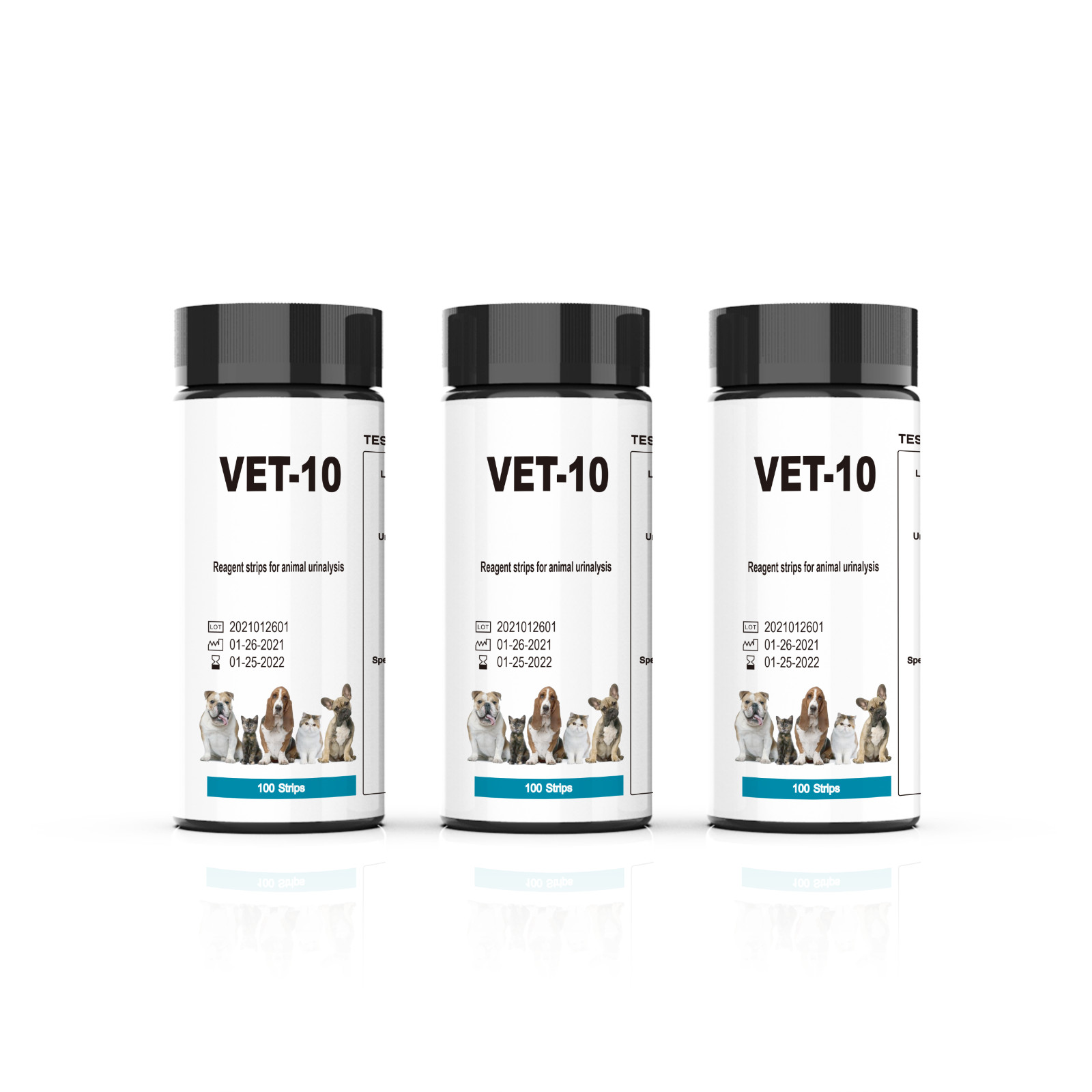 10-in-1 Pet Urine Test Strips (100ct) - Cat & Dog Diabetes & Urinary Health Test