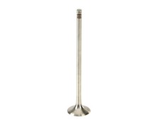 For 2018 Volkswagen Atlas Exhaust Valve TRW 41888BCXP 3.6L V6