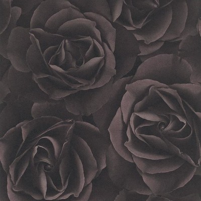 Rasch Floral Rose Tapete Modern Wandbild Blumenmotiv Struktur Schokolade 525618