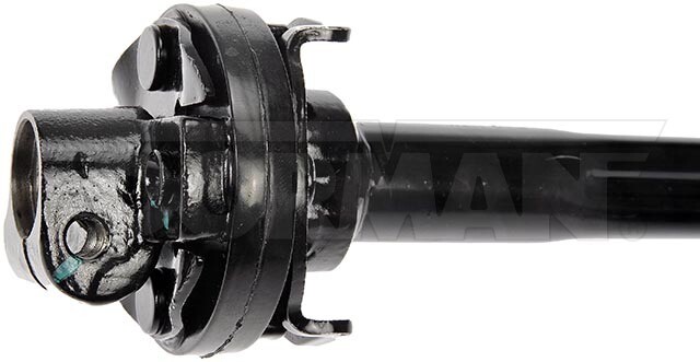 Picture 3