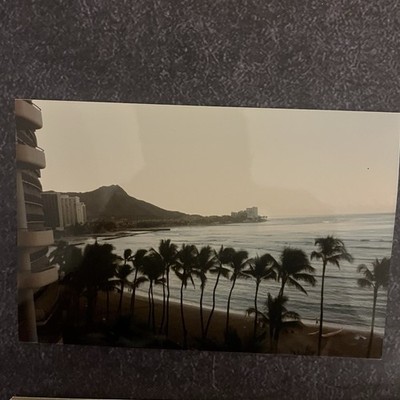 FOUND VINTAGE PHOTO PICTURE Beautiful Scenic Beach Palm Tree View