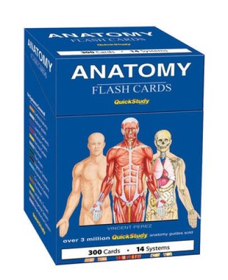 Anatomy (Quickstudy (Flash Cards)) - Cards By BarCharts, Inc. - ACCEPTABLE