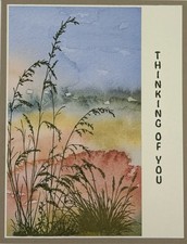 Every Occasion / Thinking Of You