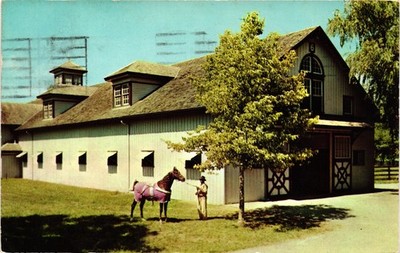 KENTUCKY Lexington Saddle Horse Barn Castleton Farm c1955 KY Postcard