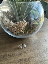 Sterling Silver Star Studs