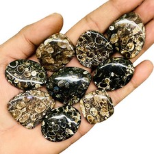 9 Pcs Natural Tutela Jasper 25-32mm Huge Untreated Loose Cabochon Gemstones Lot