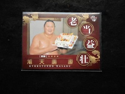 Sumo Asasekiryu 2015