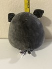 Original Squishmallows Bongo Pug 8”Squishy Plush BlackGray Puppy Dog W/Bone USED — photo 5