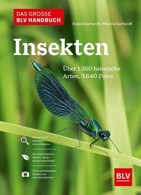 Marina Gerhardt Das große BLV Handbuch Insekten