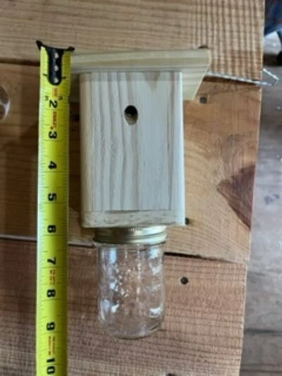 Best Carpenter Bee Trap - Patented Carpenter Bee Trap - Set of 6  Free Shipping - Image 4 of 4