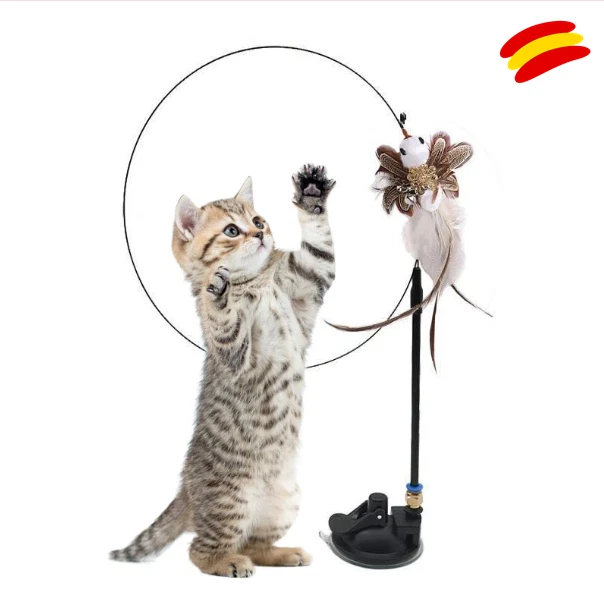 Novelty Catnip Toys Flying Bird Interactive Toy With Suction Cup
Opens in a new window or tab