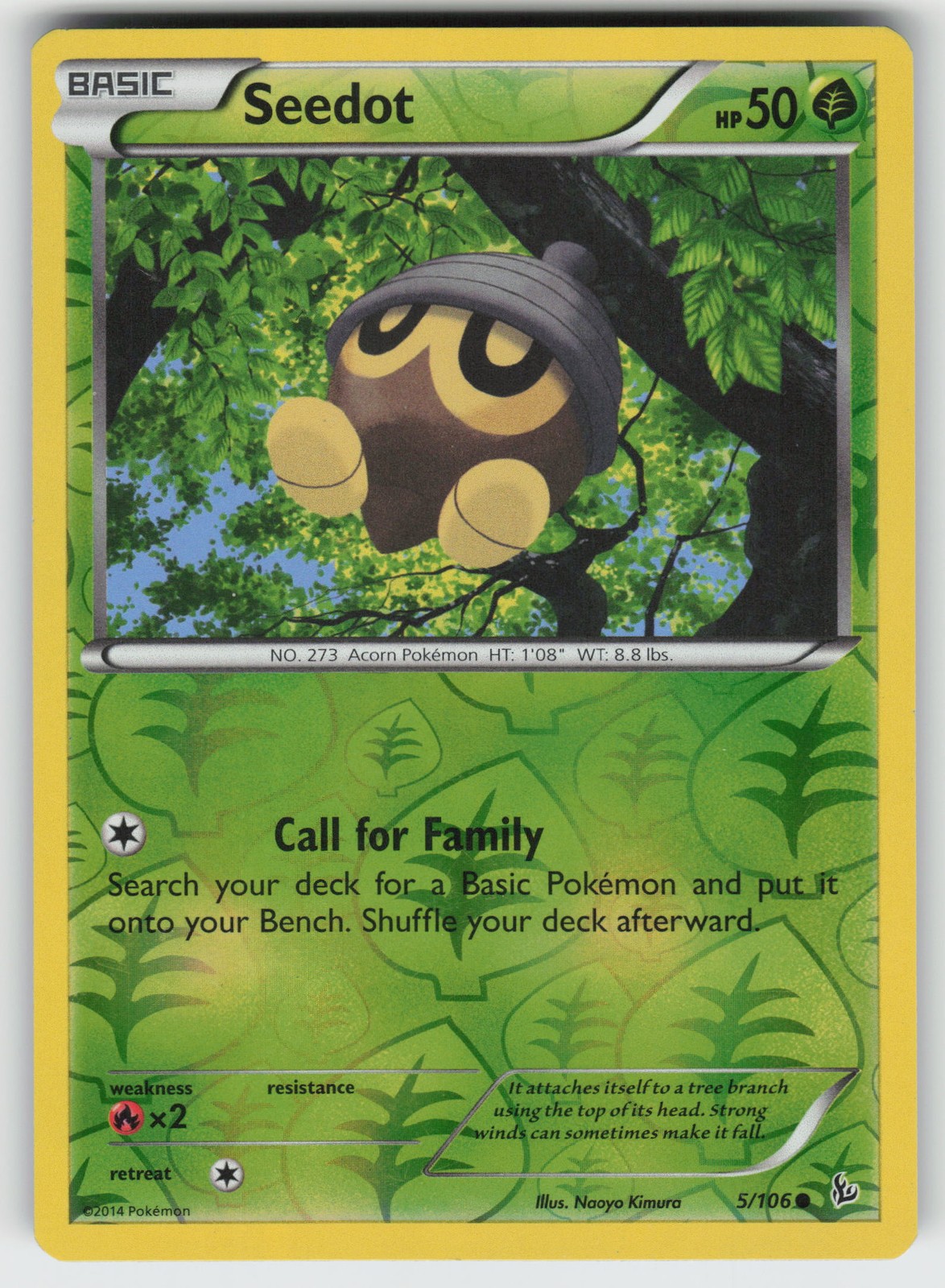 Seedot Reverse Holo Common XY - Flashfire 5/106 Pokemon