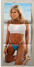WWF WWE Wrestling Terri Runnels Poster