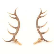 Cuckoo Clock Antlers 4-13/16 inches Plastic - XC569