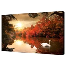 Beautiful Swan On The Autumn River At Sunrise Wall Art Canvas Unframed Print Art