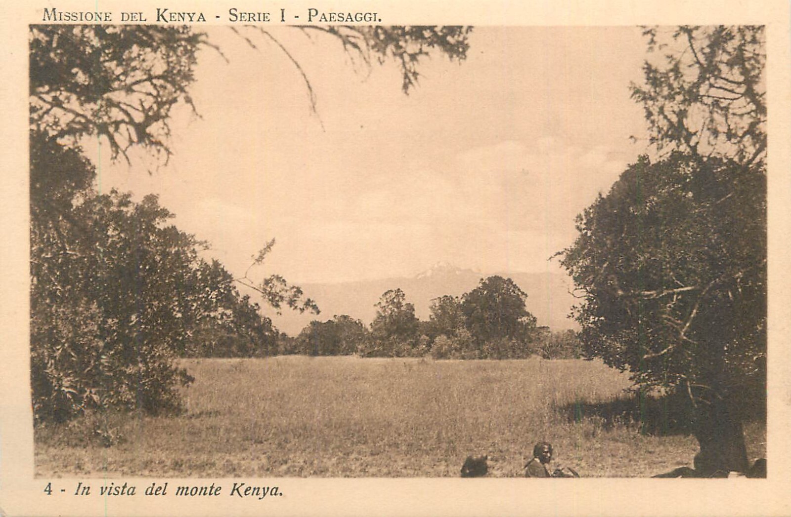 Picture 8 of 21