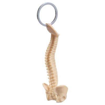 Human Spine Model Keychain Anatomical Model Keyring Classroom Teaching Tool
