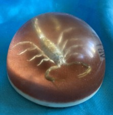 Vintage Arizona Scorpion Entomology Paperweight