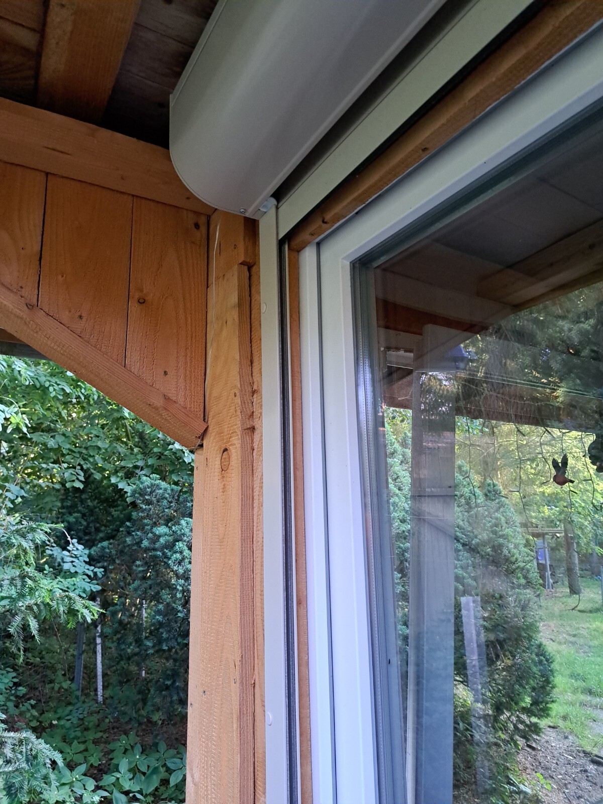 Bild 1 von 5