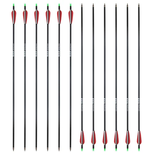 12pcs 28" Carbon Arrows 3" Vane Spine 500 Compound Recurve Bows Hunting Exact - Picture 13 of 14