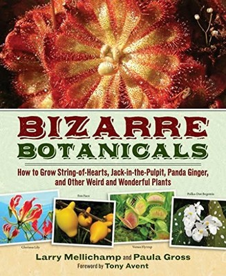 Bizarre Botanicals: How to Grow String-of-Hearts, Jack-in-the-Pulpit, Panda Gin,