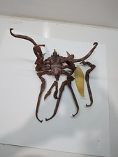 MARVEL LEGENDS BROOD QUEEN FIGURE PARTS