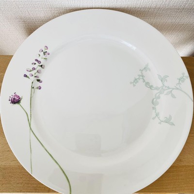 [New, unused] Aynsley dinner plate, large plate From Japan