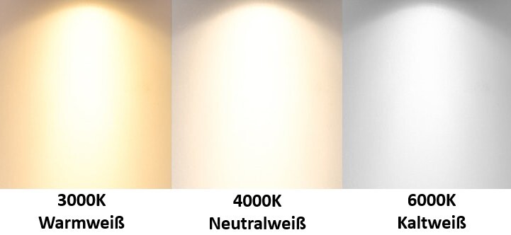 Bild 29 von 36