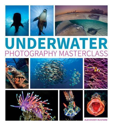 A Mustard Underwater Photography Masterclass (Tascabile)