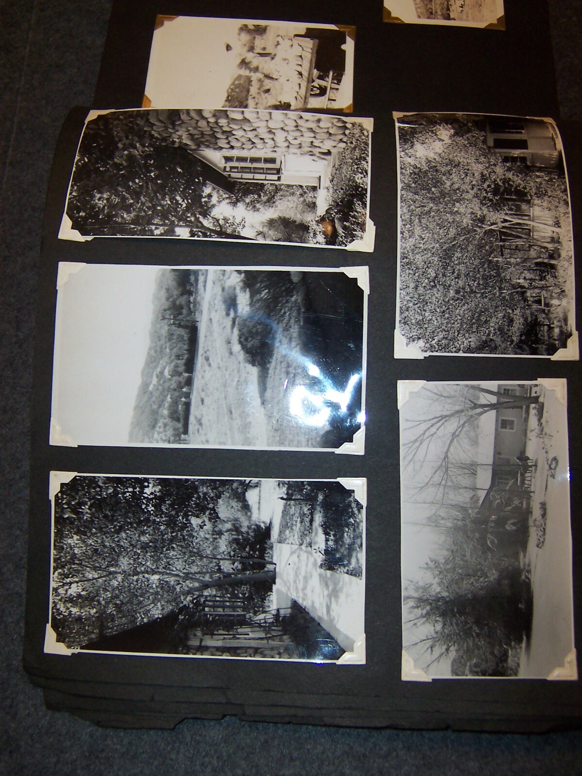 Picture 6 of 21