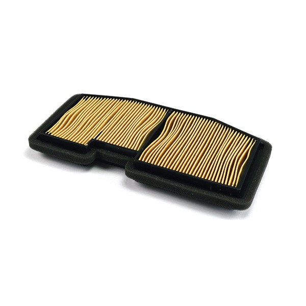 Luftfilter Miw Triumph 675 Daytona/Street T : T23104 Triumph-image
