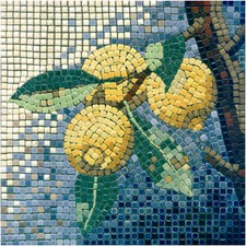 Adult Mosaic Art Kit Craft Projects square shape 7inch 20cm Lemon US204004
