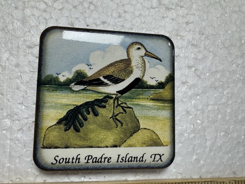 Calamita frigo piastrelle ceramica South Padre Island Texas - Foto 5 di 7