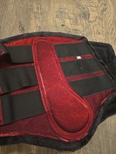 horse brushing boots XL