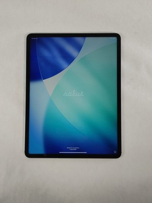 Apple iPad Pro 6th Gen 12.9'' A2764 128 GB iOS 26.5 (Wi-Fi + 4G) Unlocked