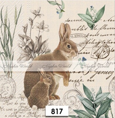 (817) TWO Paper LUNCHEON Decoupage Art Craft Napkins - BUNNY RABBITS SCRIPT