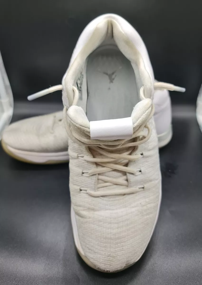 Air jordan 31 top low pure platinum