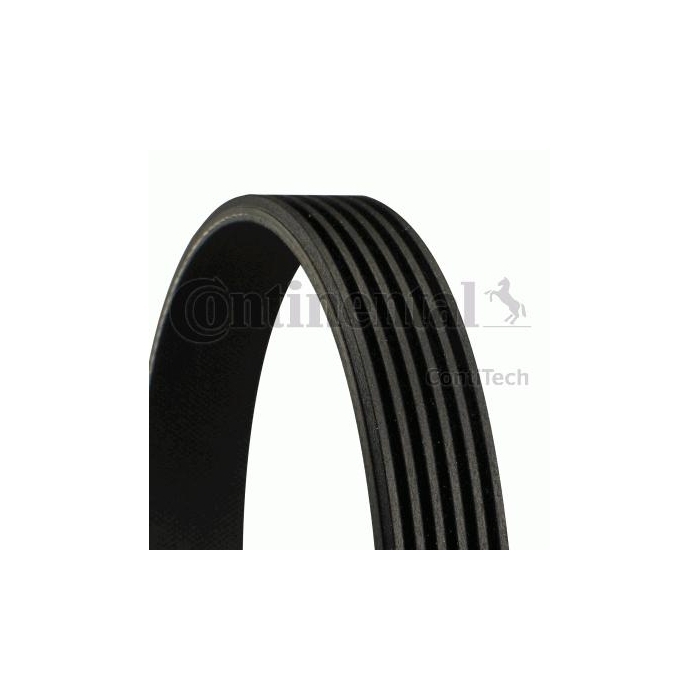 CONTITECH 6PK1019 ELAST V-riem